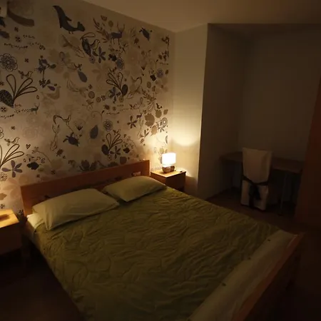 公寓 城市中心住宿酒店 扎达尔